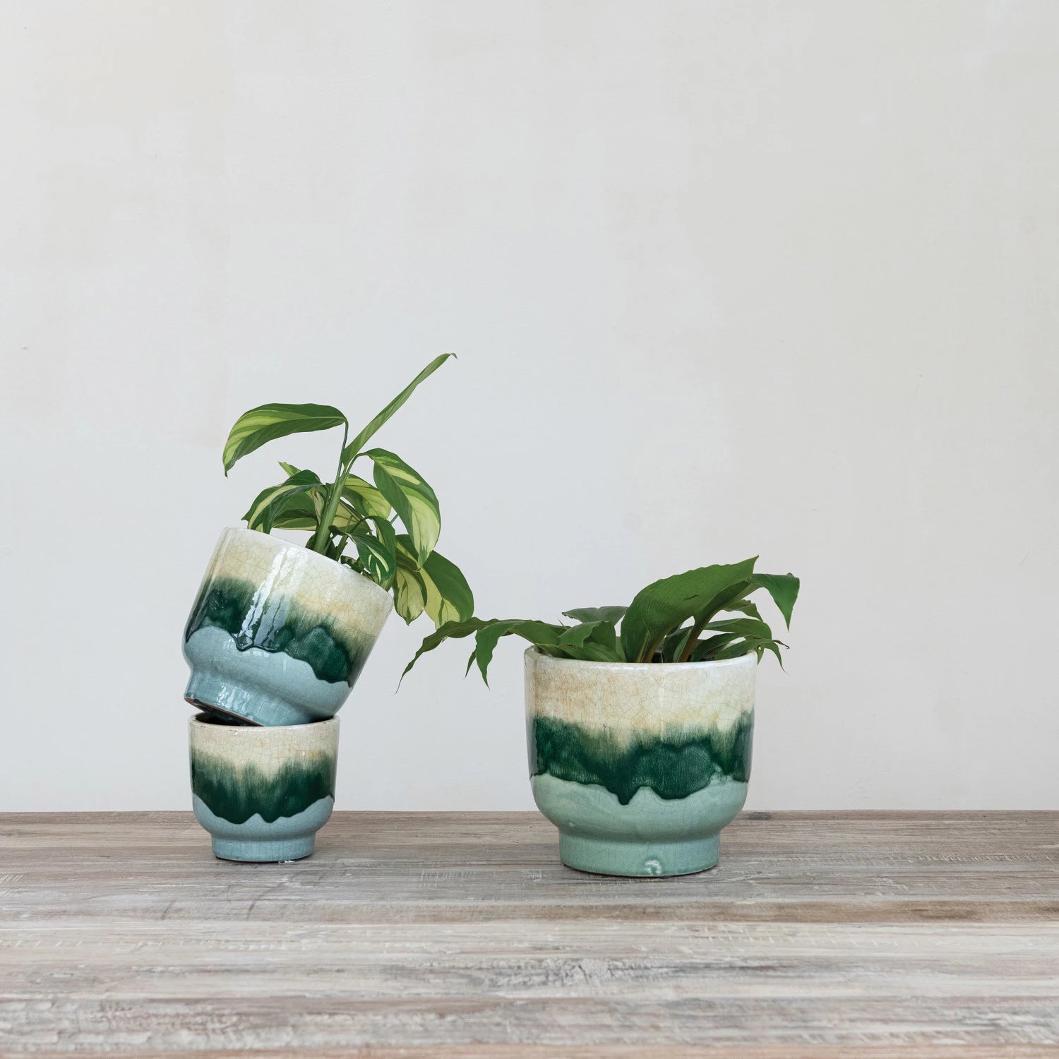 TERRACOTTA PLANTERS