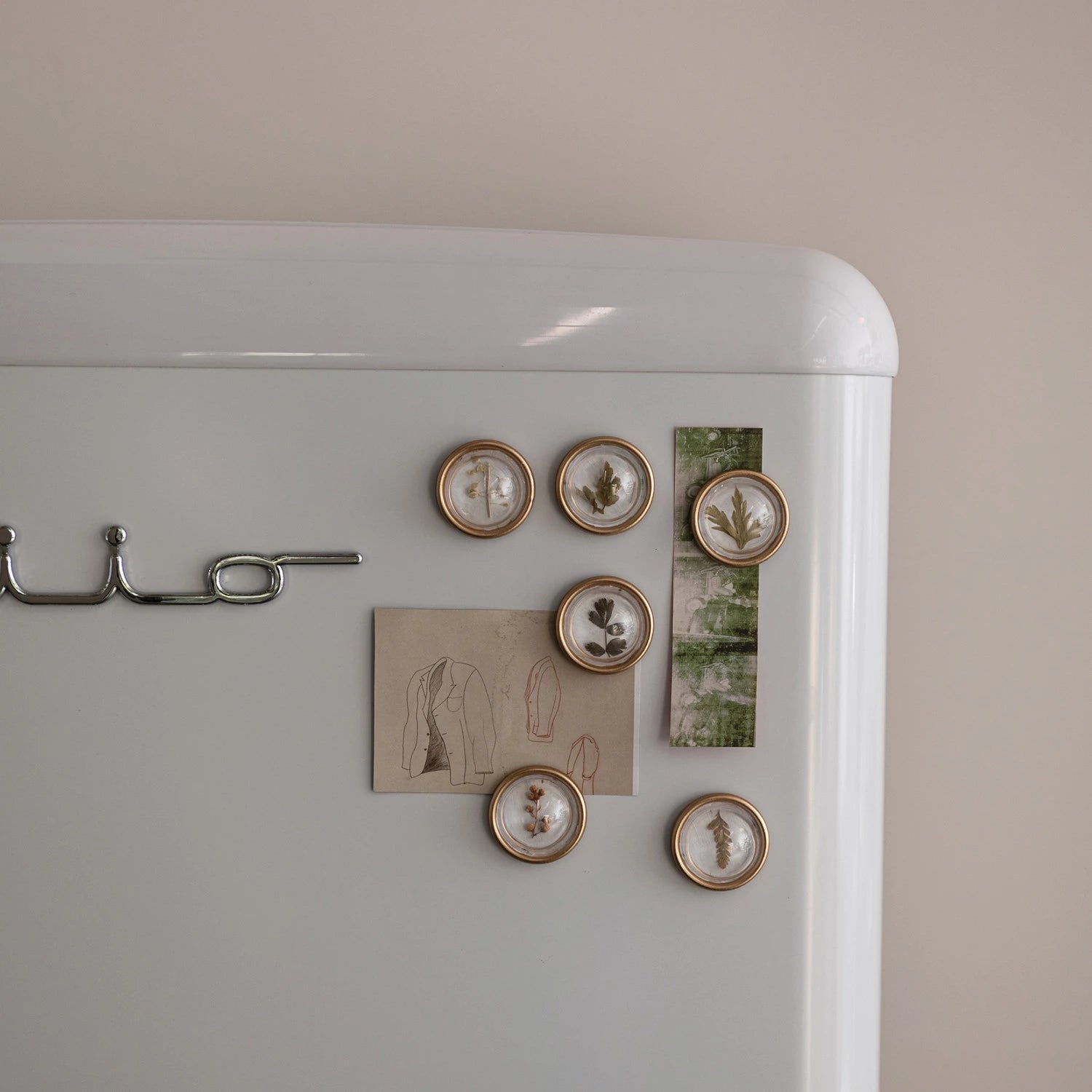 NATURAL BOTANICAL RESIN CONVEX MAGNETS