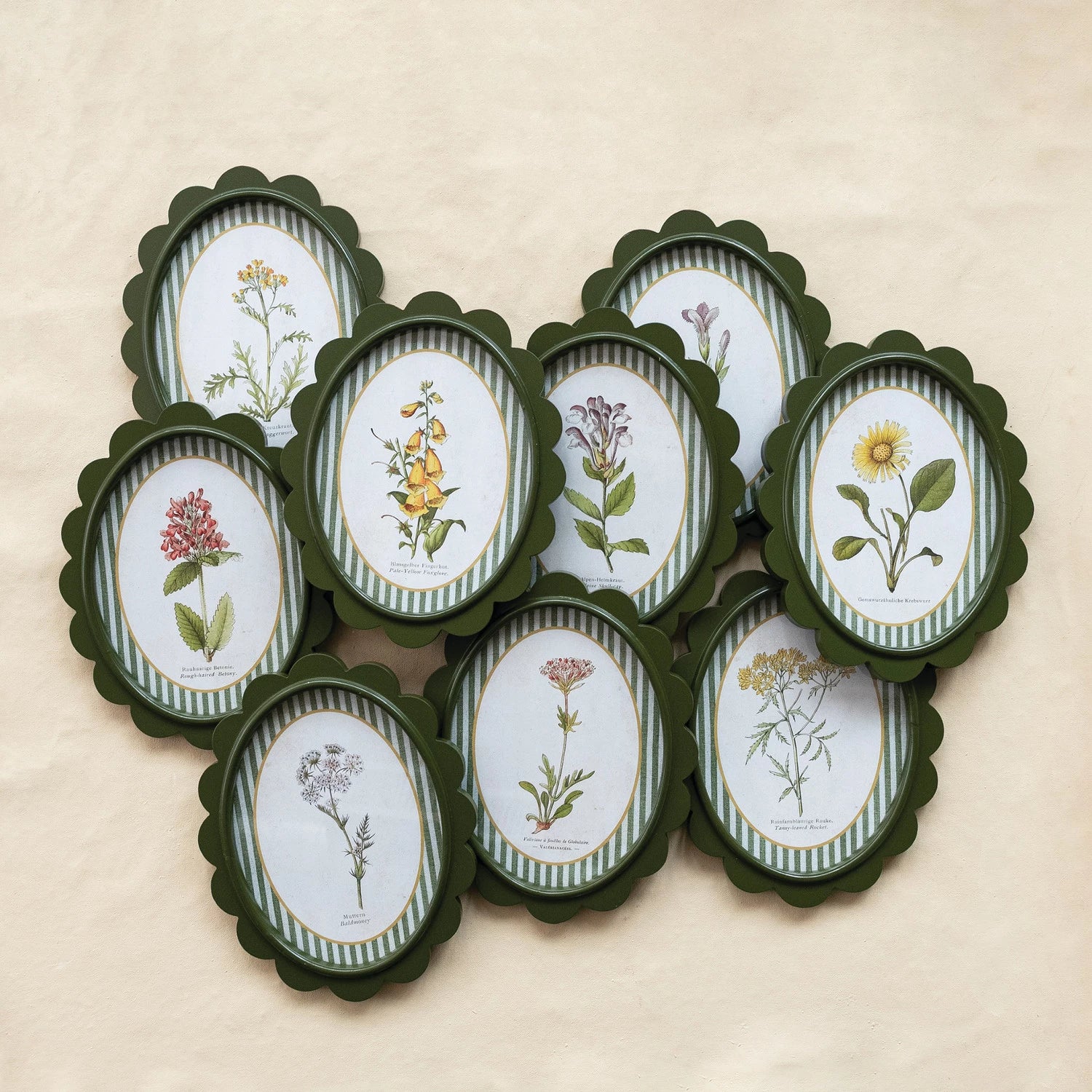 OVAL FRAMED BOTANICAL PRINTS