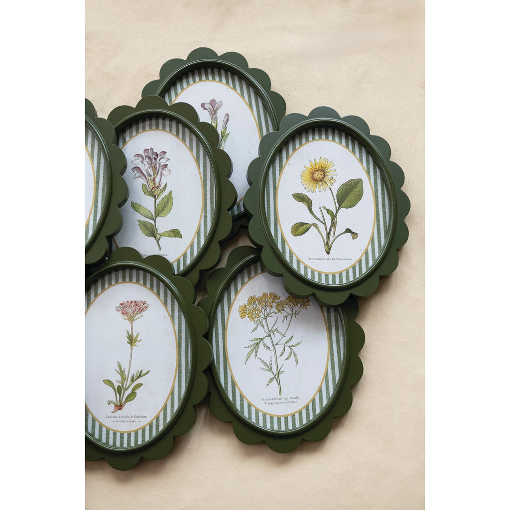 OVAL FRAMED BOTANICAL PRINTS