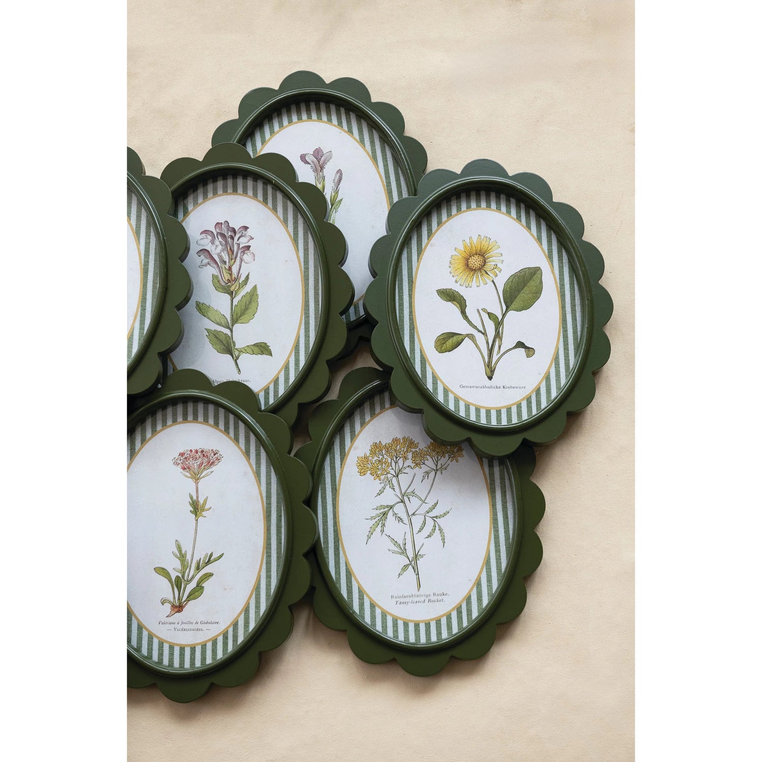 OVAL FRAMED BOTANICAL PRINTS