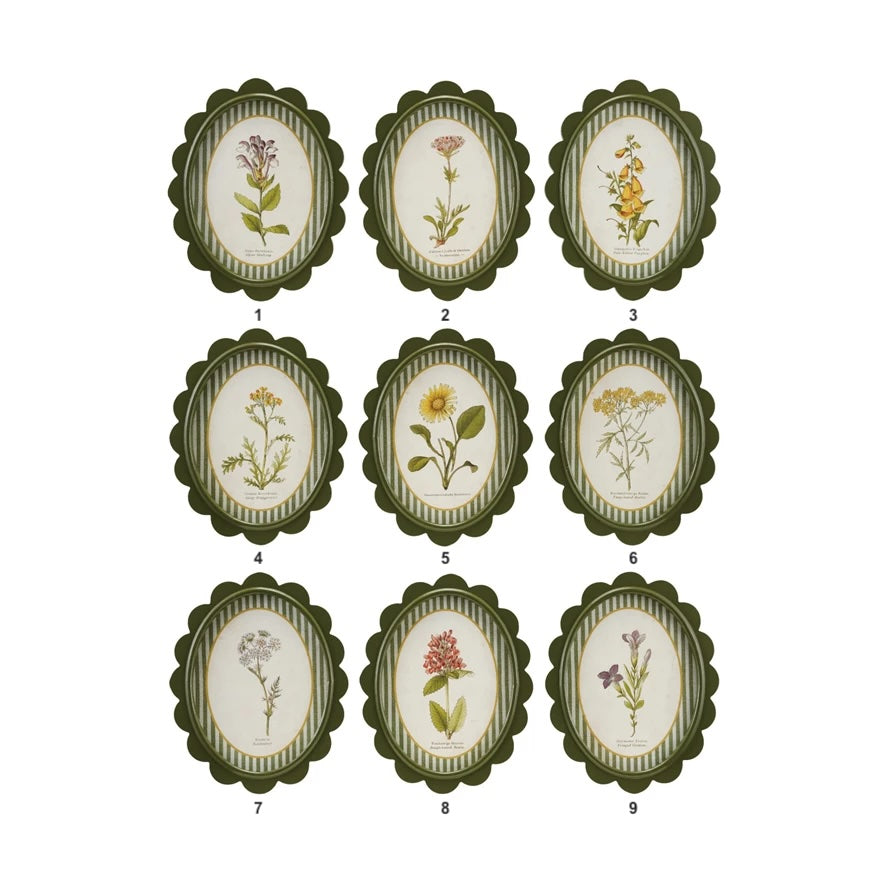 OVAL FRAMED BOTANICAL PRINTS