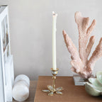 BRASS + MOP TAPER HOLDER