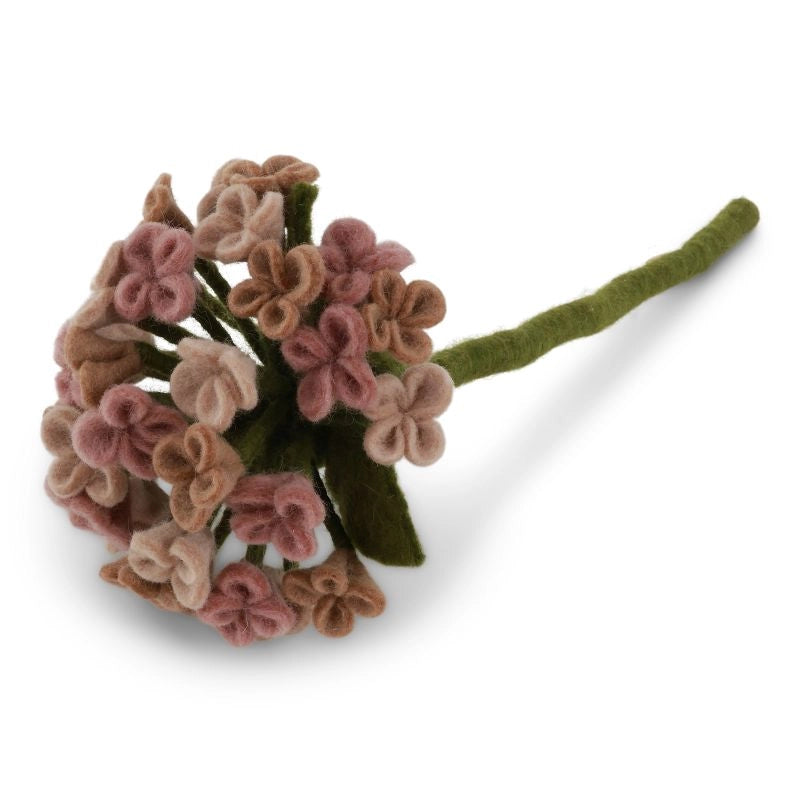 BIG WOOL PINK HYDRANGEA