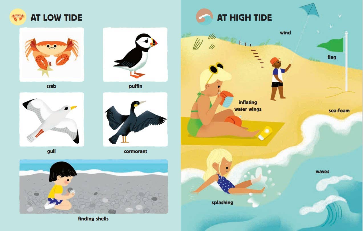 MY BIG BOOK OF NATURE SOUNDS - CHILDREN'S BOOK