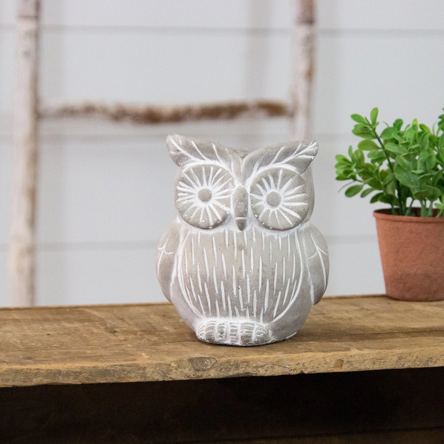 OWL CEMENT PLANTER