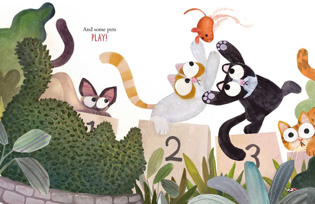 SOME PETS - CHILDREN'S BOOK