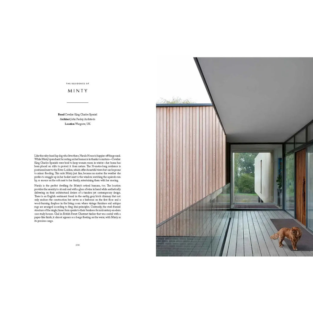 RESIDENT DOG BOOK (VOL.2)