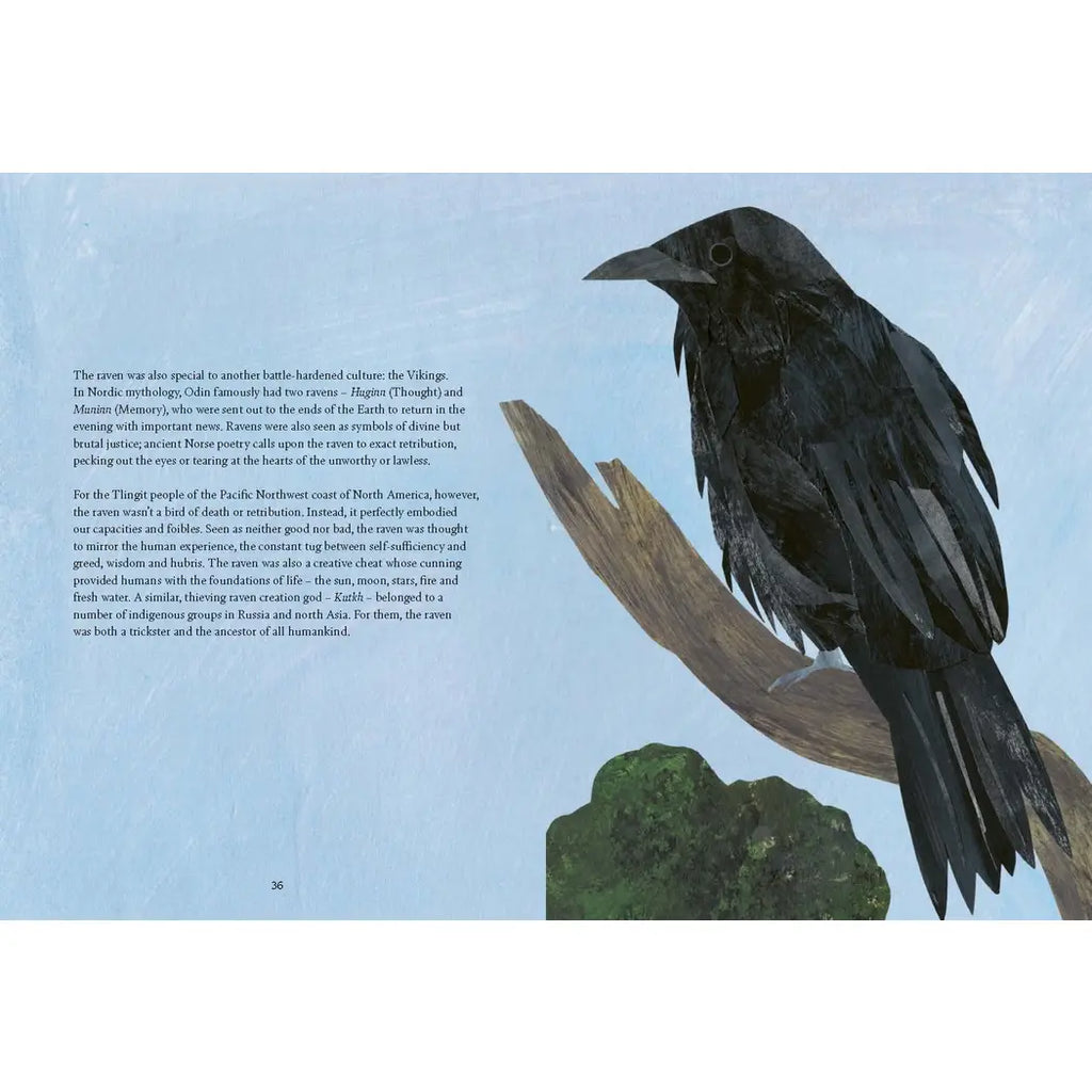 BIRD LORE BOOK