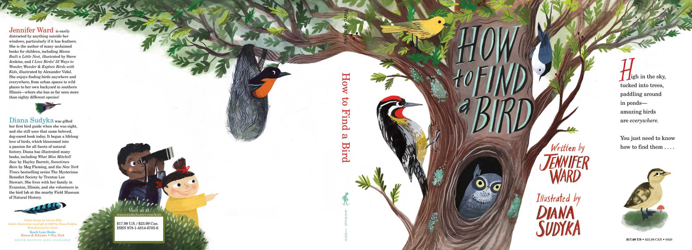 HOW TO FIND A BIRD - CHILDREN'S BOOK