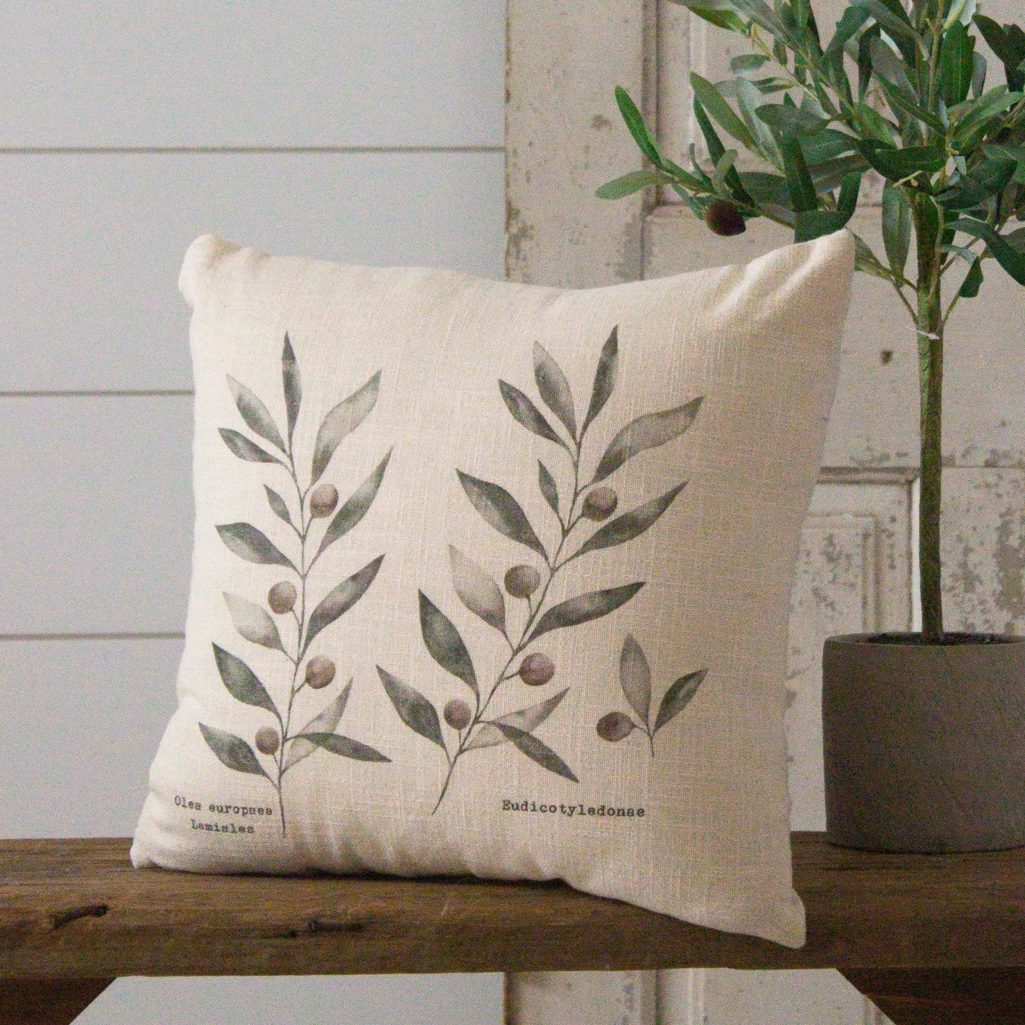 OLIVE BRANCHES DECORATIVE PILLOW