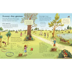 THE USBORNE OUTDOOR BOOK