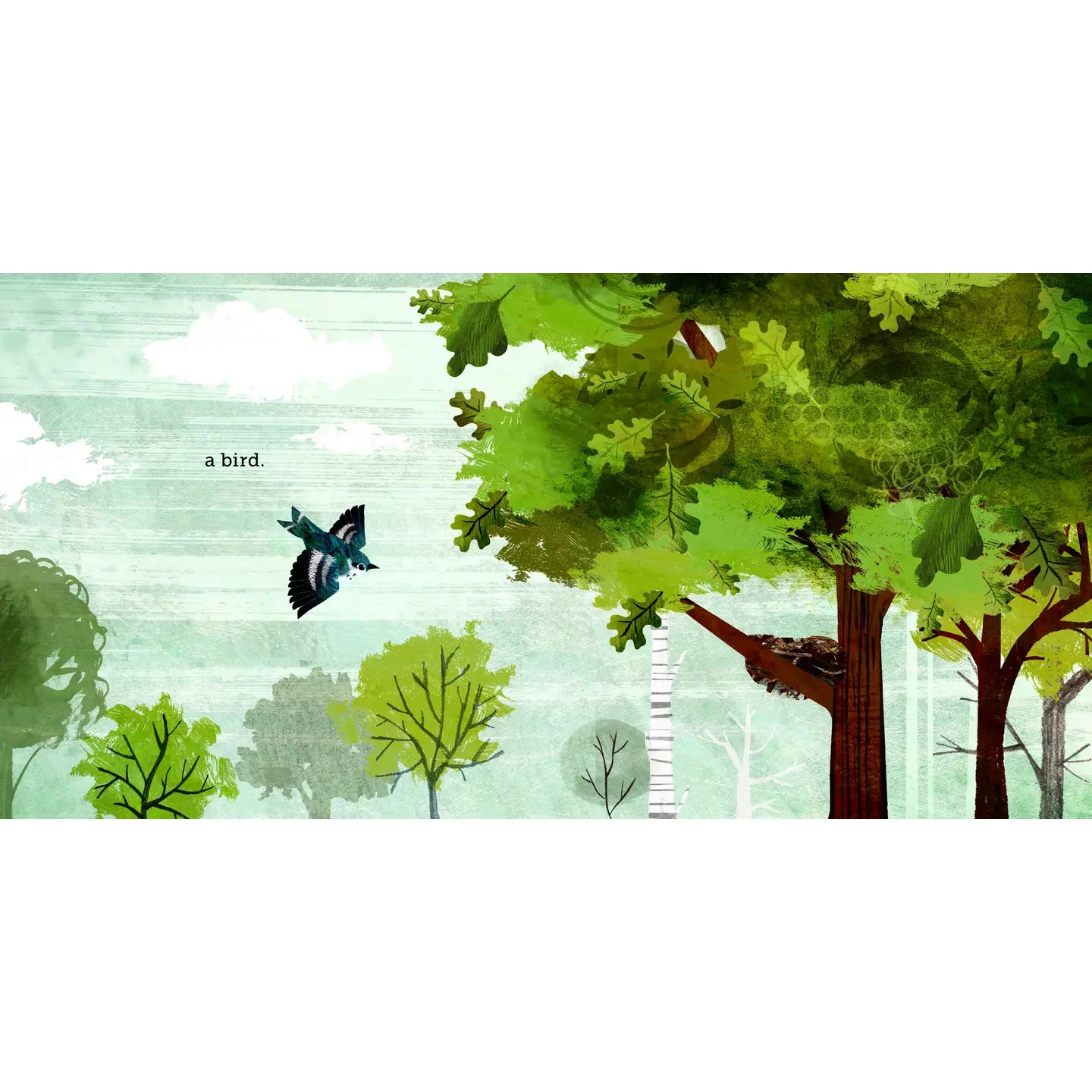 BECAUSE OF AN ACORN BOOK