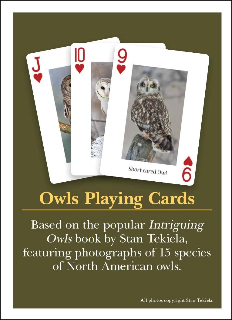 OWLS PLAYING CARDS