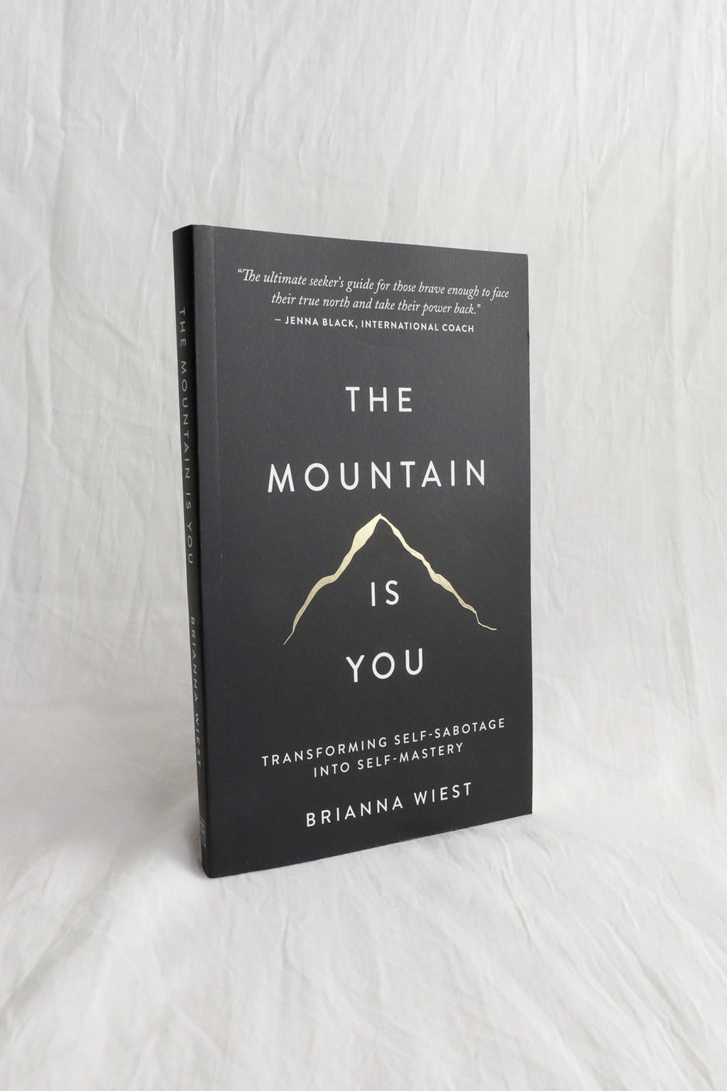 THE MOUNTAIN IS YOU BOOK