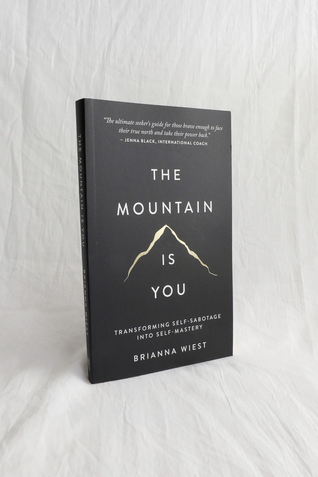 THE MOUNTAIN IS YOU BOOK