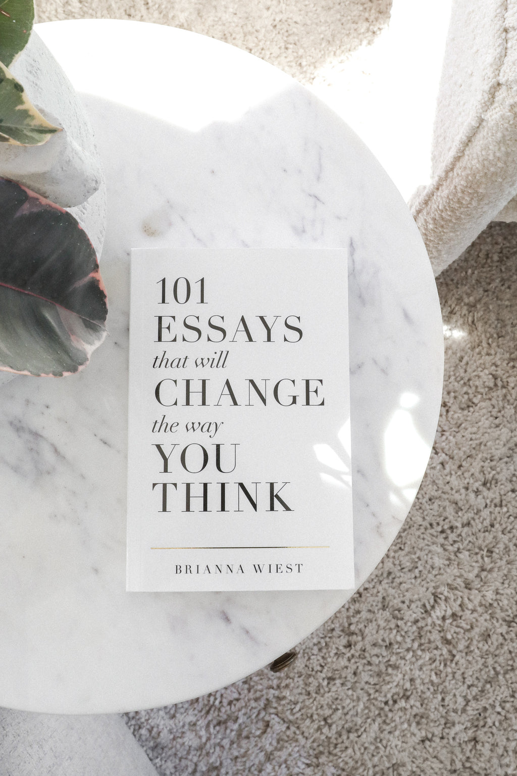 101 ESSAYS BOOK