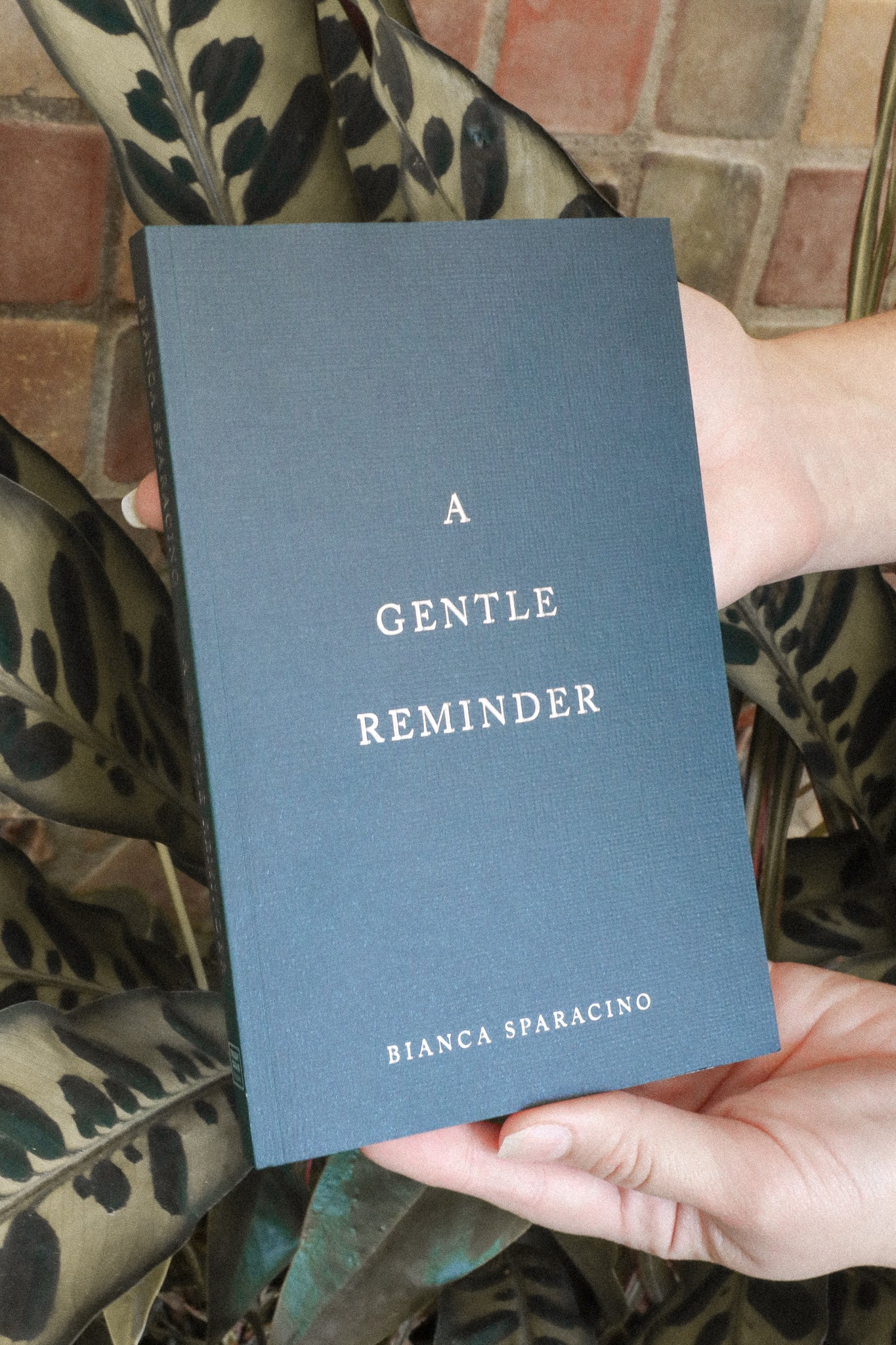 A GENTLE REMINDER BOOK