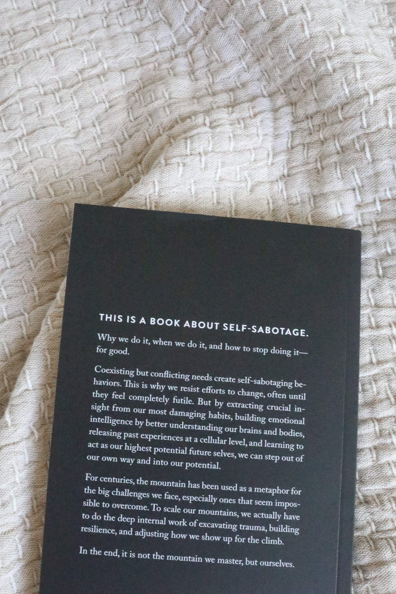 THE MOUNTAIN IS YOU BOOK