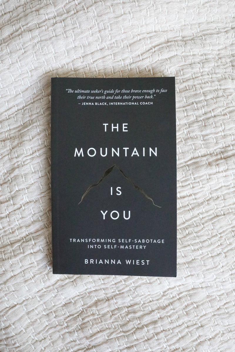 THE MOUNTAIN IS YOU BOOK