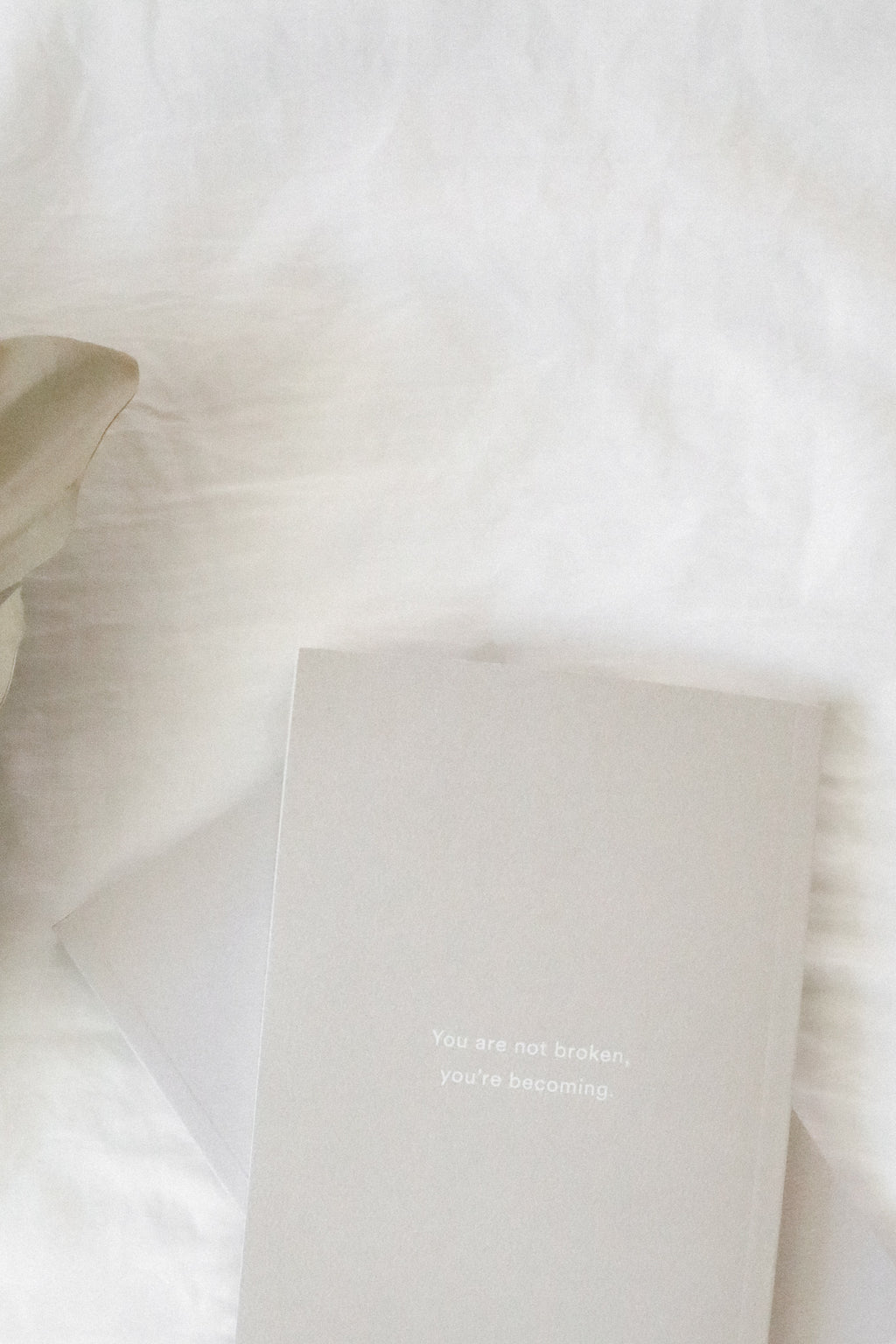 THE STRENGTH IN OUR SCARS BOOK